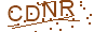 驗證碼 CDNR